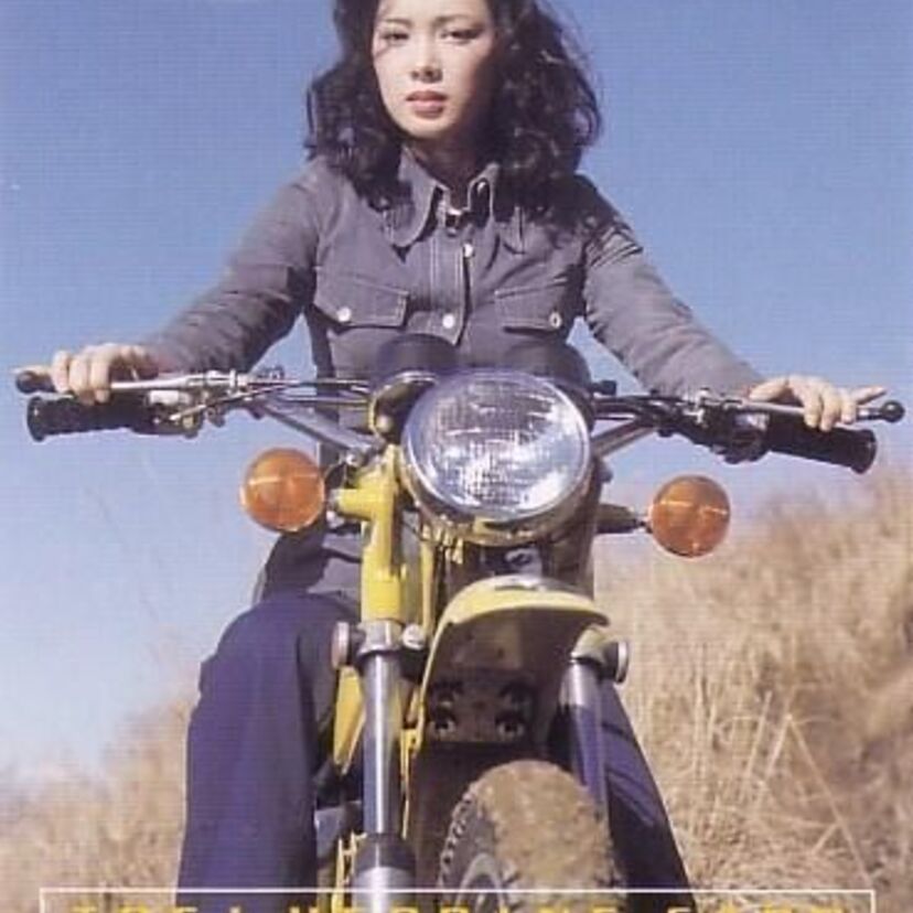 [１９７０年代特撮ヒロインメモリアル]昭和仮面ライダーガールズ・ヒロイン