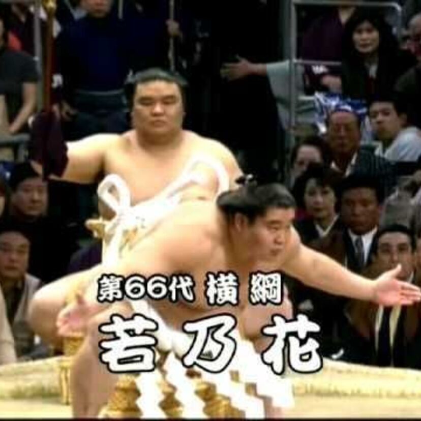 98年以降、長らく日本出身”最後の横綱”だった若乃花！実は横綱昇進の口上で引退を表明するつもりだった！