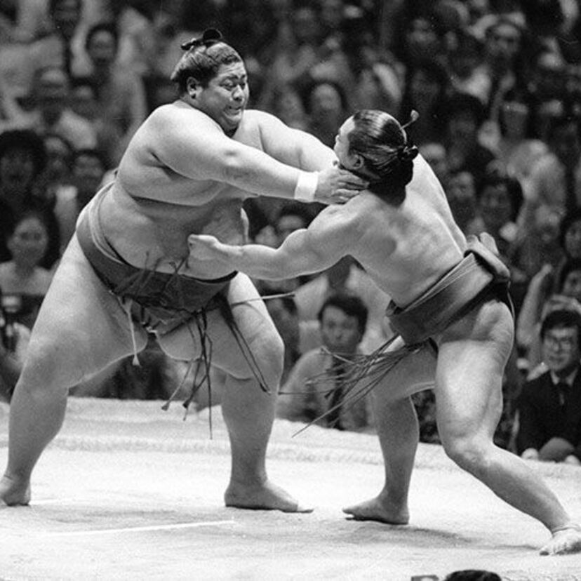 相撲界で『山椒は小粒でピリリと辛い』人気の小兵力士列伝
