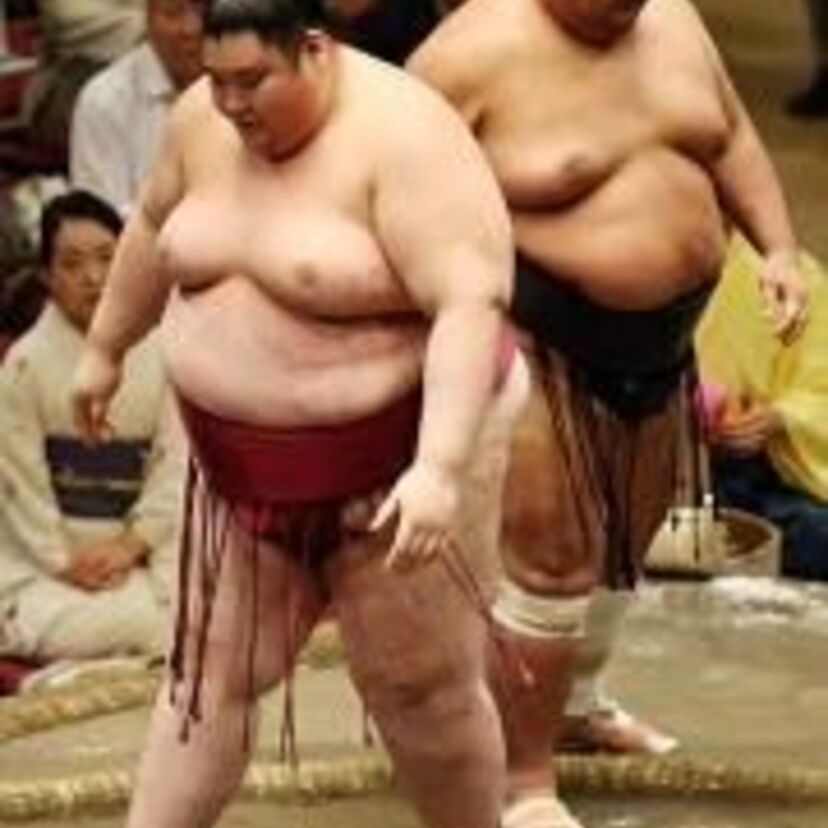 土俵に上がると土俵が狭く見えるほどデカかった歴代巨漢力士列伝