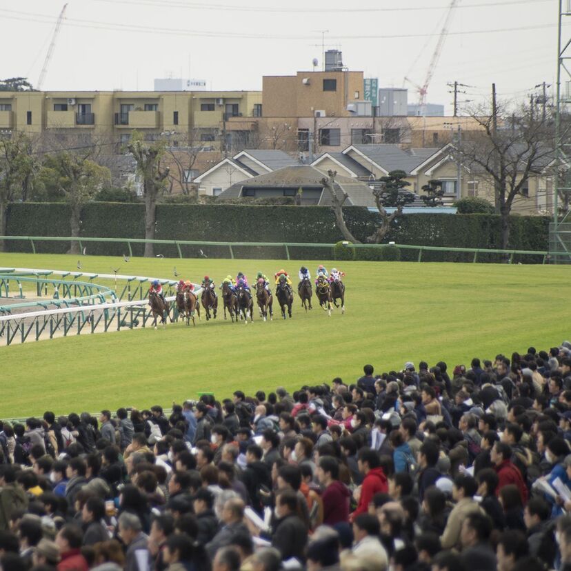 【桜花賞】クイズで振り返るG1競馬～第77回予想アンケート付～