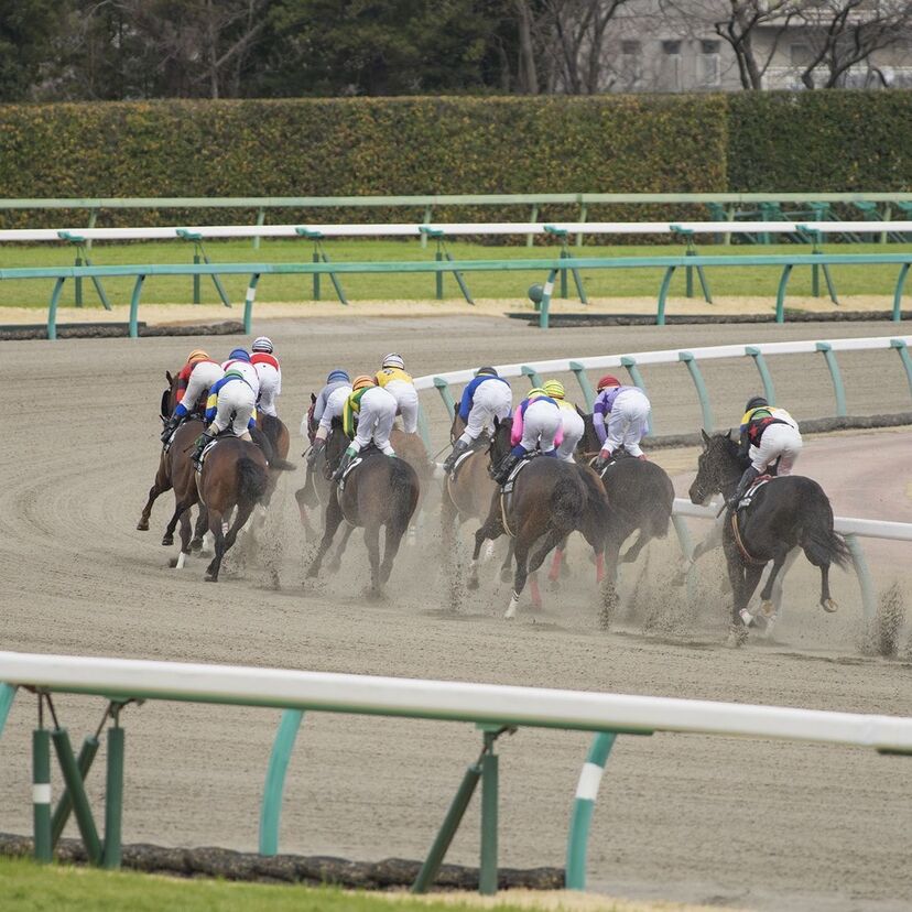 【皐月賞】クイズで振り返るG1競馬～第77回予想アンケート付～