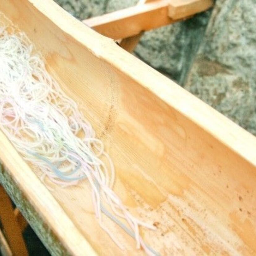 【ソーメンガブー】「流しソーメン」は知ってても「ソーメンをブン投げるお祭」はご存知ないかも！？