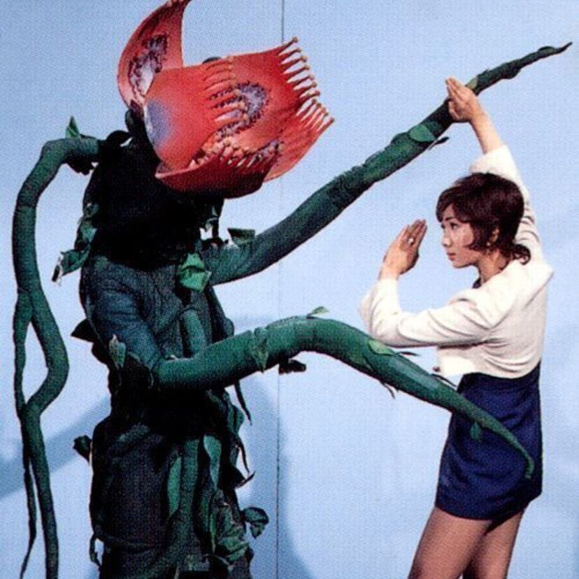 1970年代の特撮ヒロイン：好き! すき!! 魔女先生・超人バロム1・イナズマン・怪傑Zバット・超神ビビューン・キョーダイン他