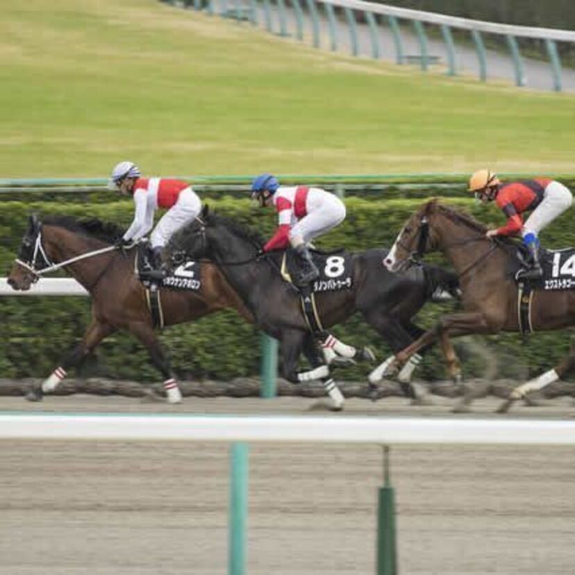 G1競馬2017【安田記念】みんなの『事前予想』で勝ち馬を当てろ！～過去データを振り返るクイズ付～