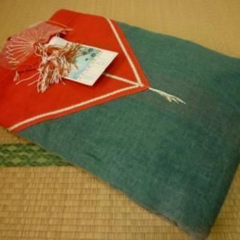 昔ながらの蚊帳は蚊の対策だけではない。節電にも!!