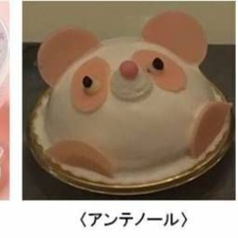 上野動物園でパンダの赤ちゃんが誕生！上野松坂屋でお祝いセール開催中！カンカン、ランランのフィーバーを思い出す！？