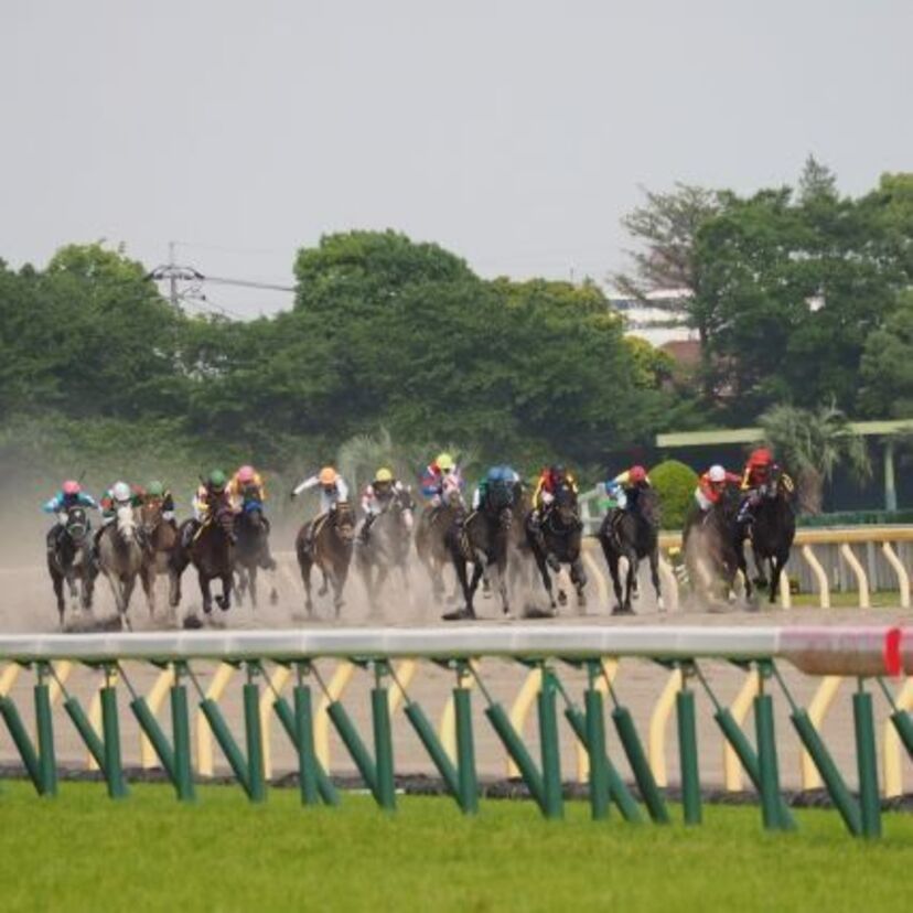 G1競馬2017【宝塚記念】みんなの『事前予想』で勝ち馬を当てろ！～過去データを振り返るクイズ付～