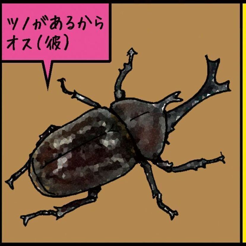 『カブトムシ（昆虫）』沼田健のノスタルジーX（エックス）　～昭和あるあるマンガはじめました～vol.51