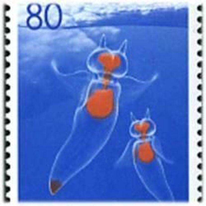 1993年日本初展示の、かわいいかわいい「流氷の天使」クリオネをご存知ですか？