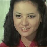 Hなシーン満載【江戸川乱歩の美女シリーズ･天知茂版】美女ファイルNo.1～12（前編）