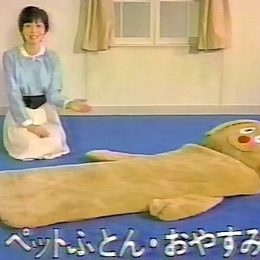 幼い頃、親にねだったテレビショッピングの子供用ぬいぐるみ布団