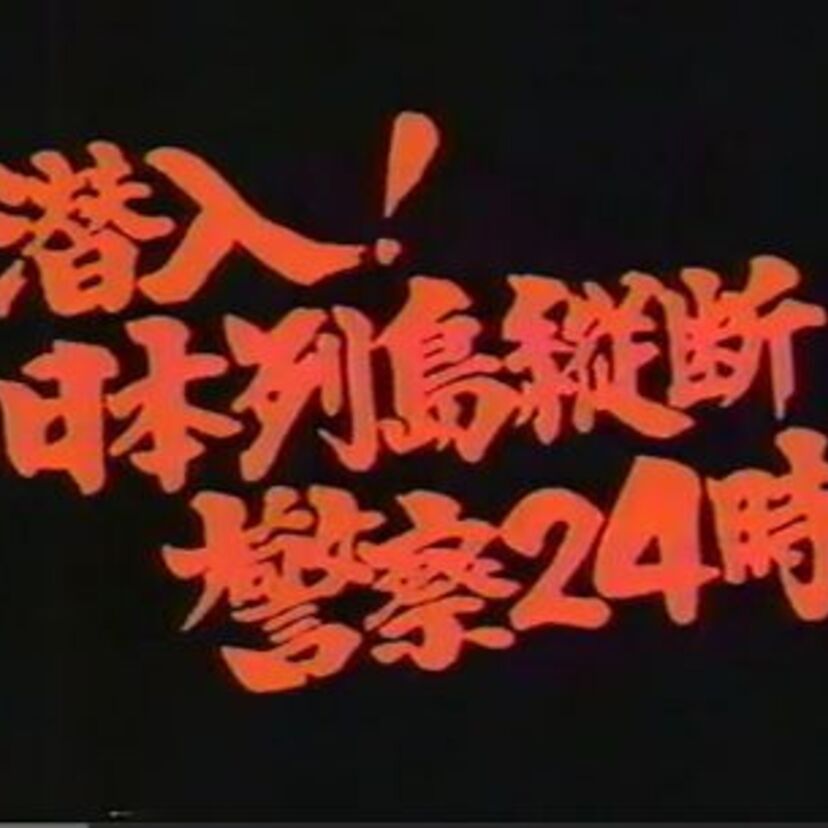 ついつい見ちゃう！！『警察24時』のまとめ・・・