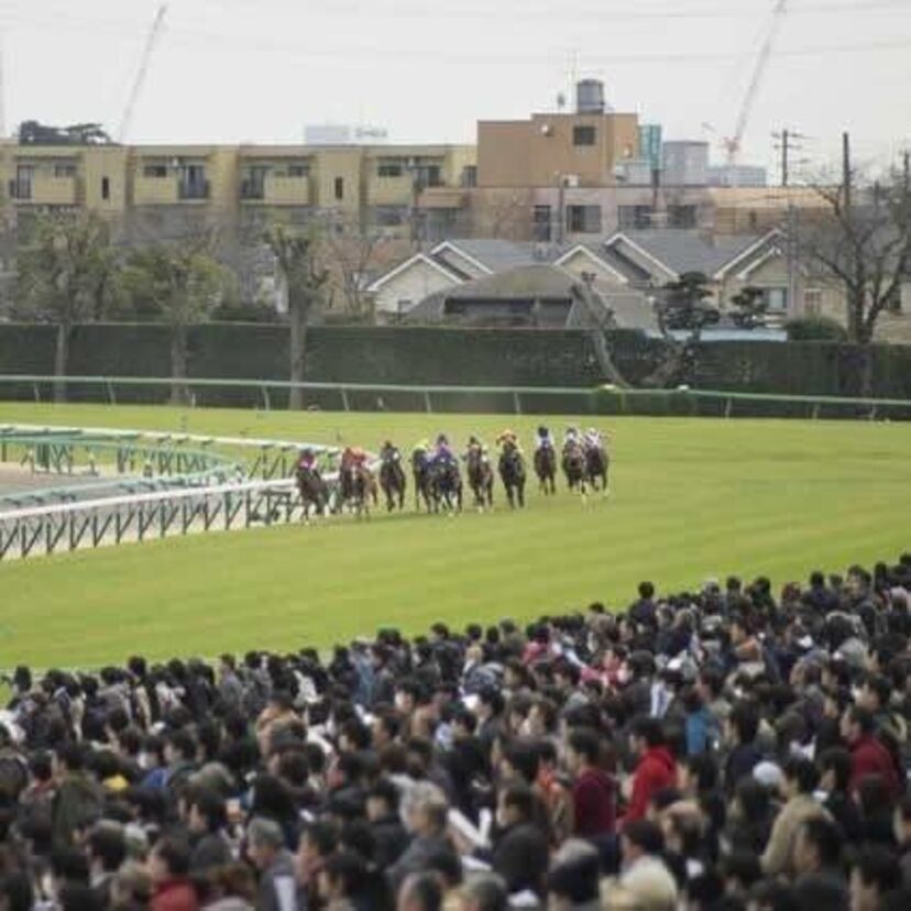 G1競馬2017【秋華賞】みんなの『事前予想』で勝ち馬を当てろ！～過去データを振り返るクイズ付～