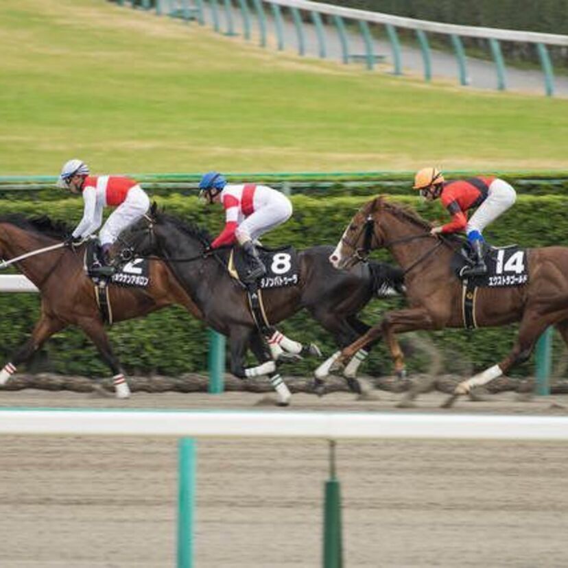 G1競馬2017【菊花賞】みんなの『事前予想』で勝ち馬を当てろ！～過去データを振り返るクイズ付～