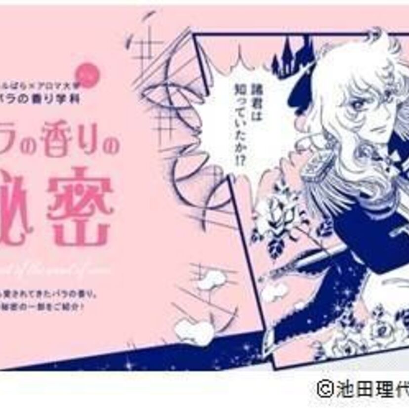 ベルサイユのばらとアロマ大学がコラボ！「バラの香り学科」を創設 ！！