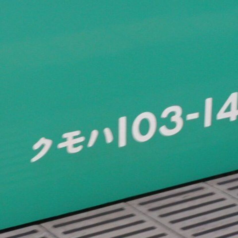 東京から103系が消えた日【エメラルドグリーン常磐線ラストラン・ギャラリー】