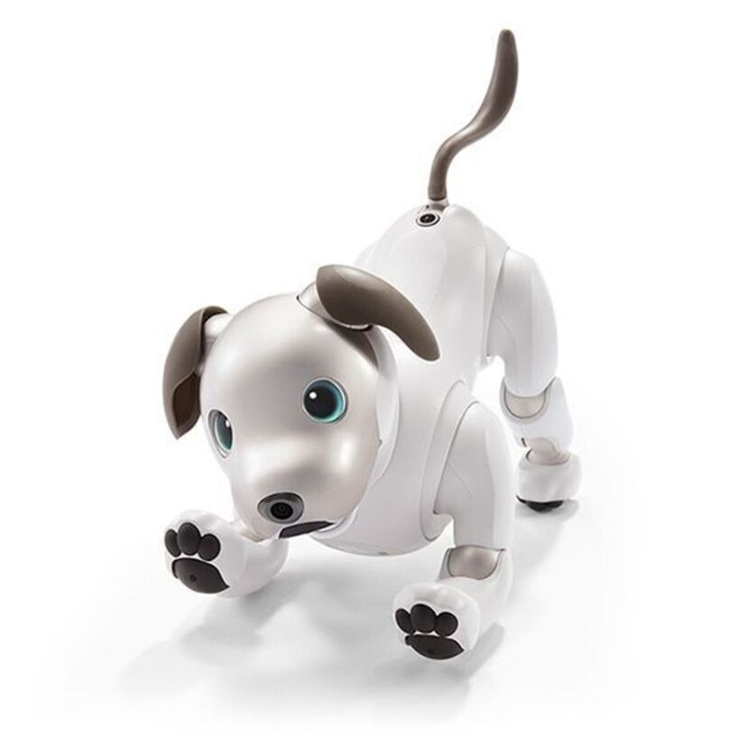 あの「AIBO」がリニューアルして帰ってきた！ソニーが新型aiboを12年ぶりに発表！！
