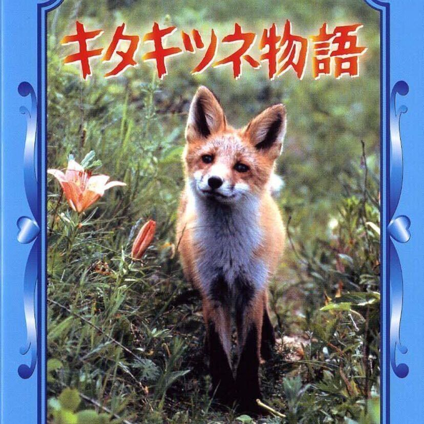 1978年に公開された動物映画の元祖「キタキツネ物語」