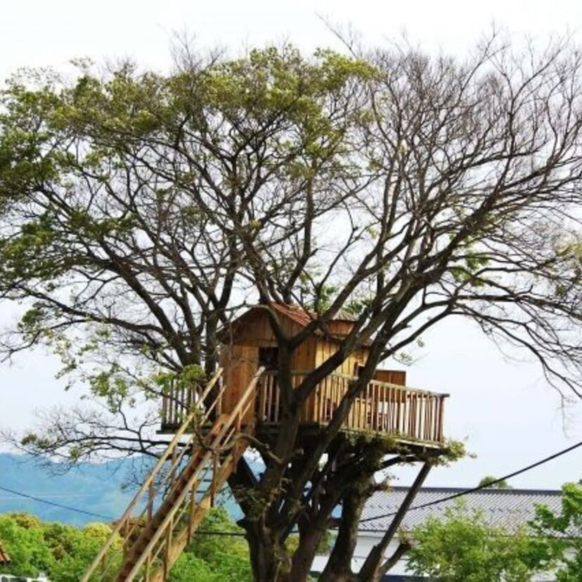 秘密基地ってどんな場所に作った?秘密基地自慢!