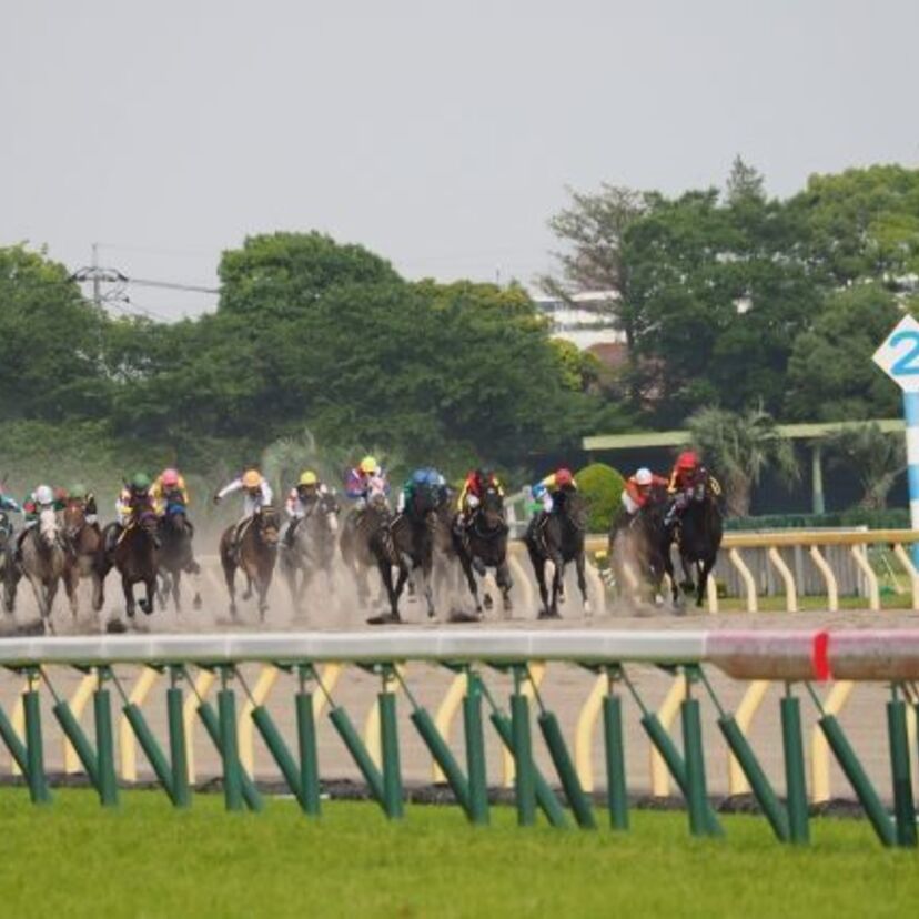 G1競馬2017【有馬記念】みんなの『事前予想』で勝ち馬を当てろ！～過去データを振り返るクイズ付～