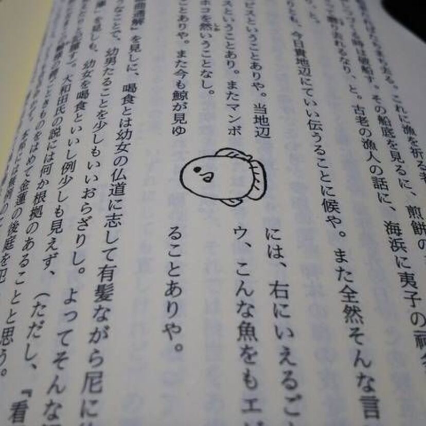南方熊楠の深い知識とマンボウの落書き。