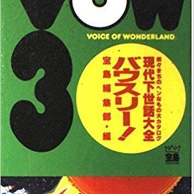 【プリミティブな魅力満載】1991年発行「VOW3」ネタより【求人広告編】