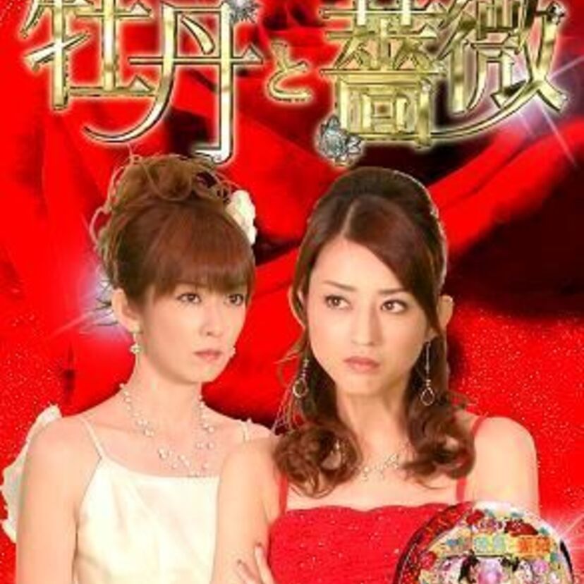 【昼ドラ】懐かしの面白くて突っ込みどころがあった昼のメロドラマ3選