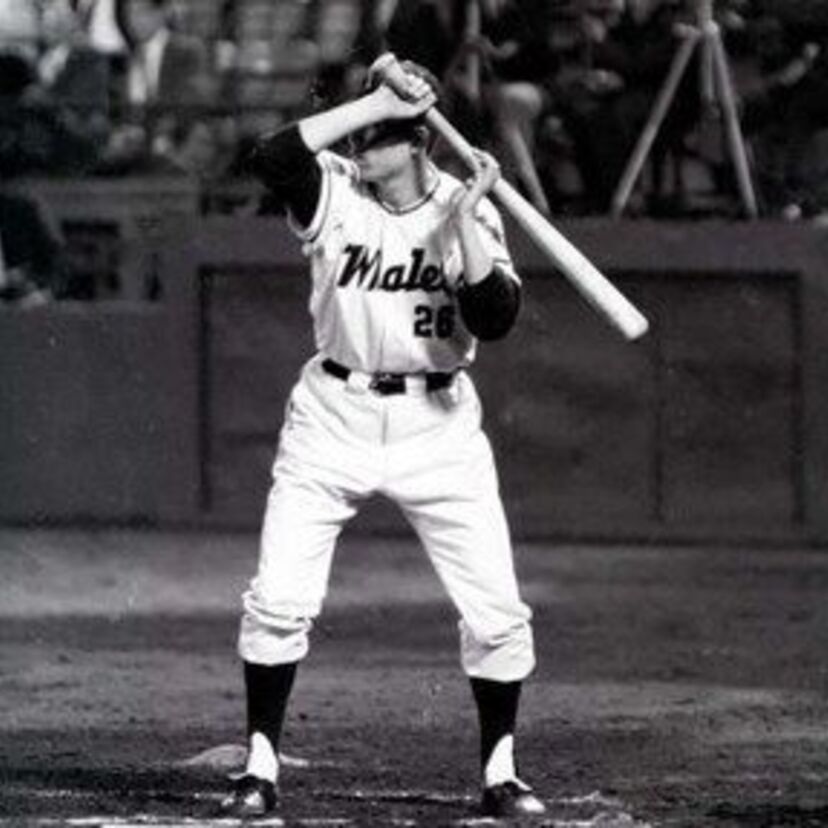 クセが強すぎる!個性的だったプロ野球のバッターの打法