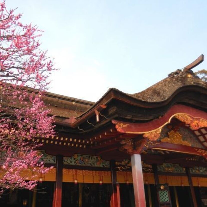 合格祈願といえば天神！菅原道真を慕った梅と松と桜の顛末。