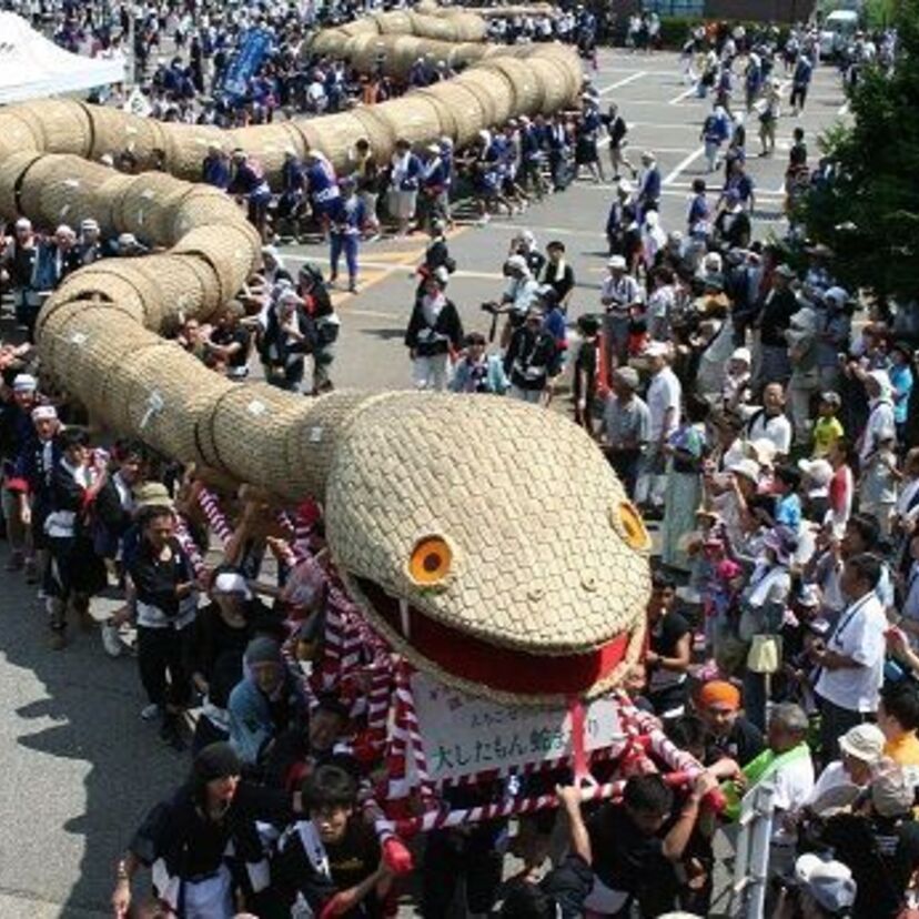 各地に存在する蛇をモチーフに使う祭礼、なかでも世界一にもなった長い蛇を使った祭礼が新潟にあります。