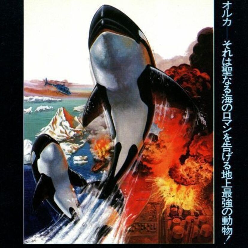 覚えてますか？幻のSPAC(スパック)ロマン映画『オルカ』！そのコミカライズ版の内容とは？