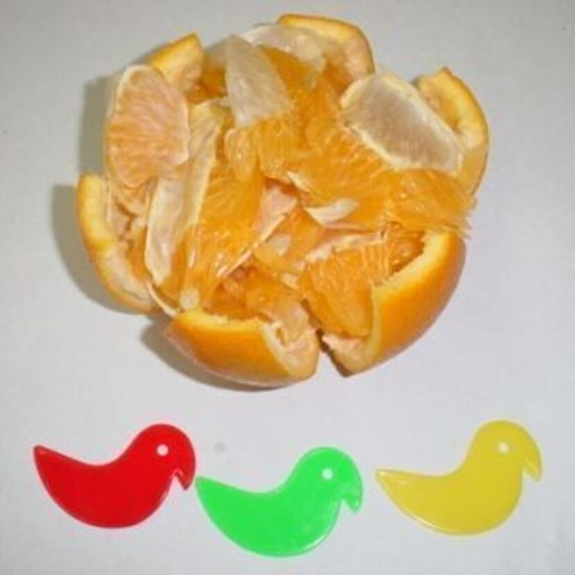 鳥形の「夏みかん」の皮むき器、懐かしくありませんか？