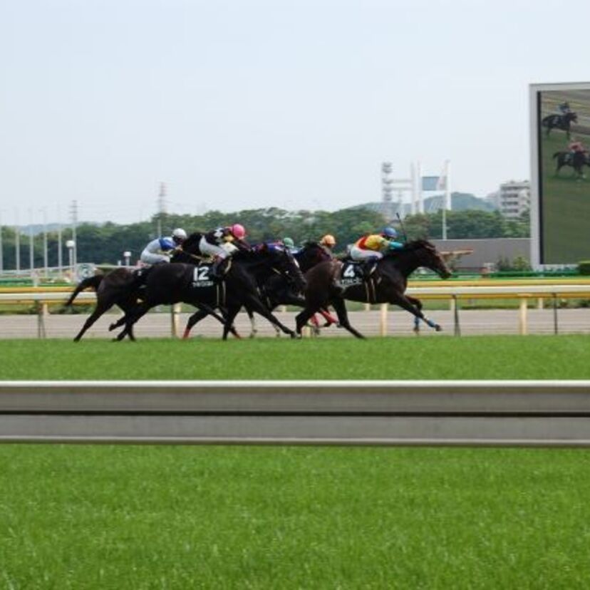 競馬ファン集まれ!もっとも印象に残っている馬と言えば? この馬で勝った!!