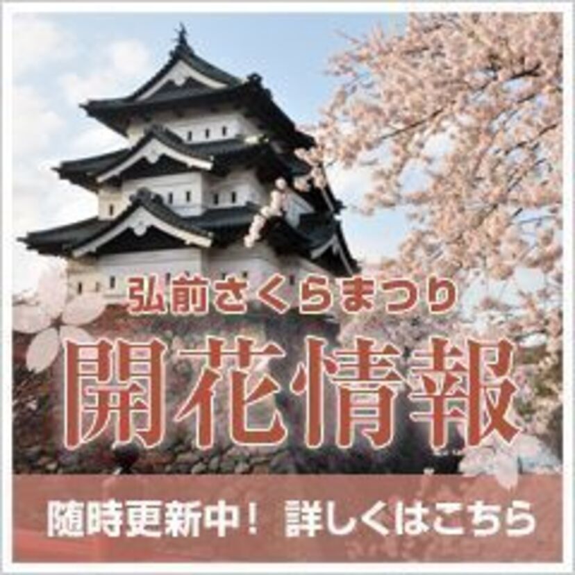 【わたしを弘前城の桜祭りに連れてって】1980年の国鉄で東京から弘前まで行ってみたら。