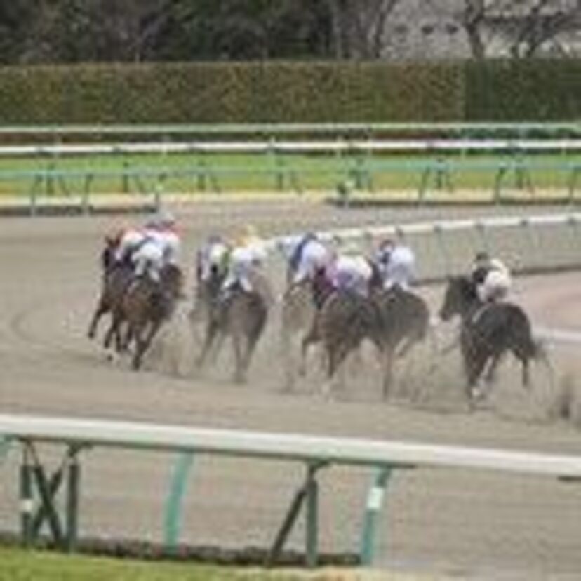 G1競馬2018【皐月賞】みんなの『事前予想』で勝ち馬を当てろ！～過去データを振り返るクイズ付～