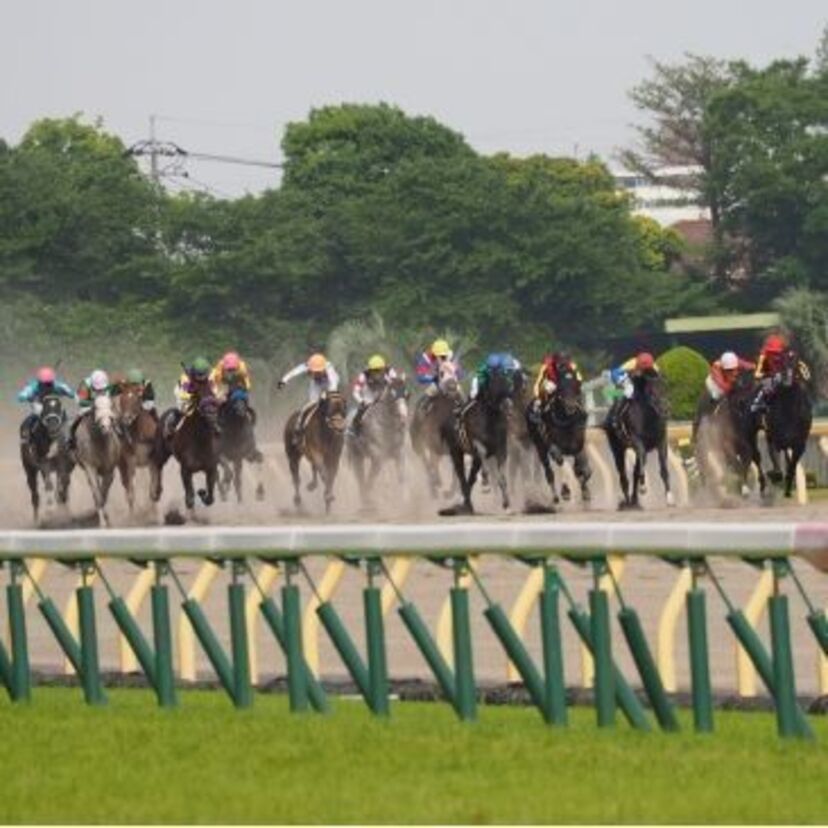 出馬表決定！G1競馬2018【天皇賞（春）】みんなの『事前予想』で勝ち馬を当てろ！～過去データを振り返るクイズ付～