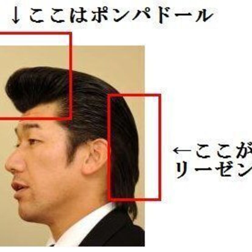 トサカもリーゼントの一部！？リーゼントという髪型を根本的に「勘違い」している人が大量にいると話題に！！