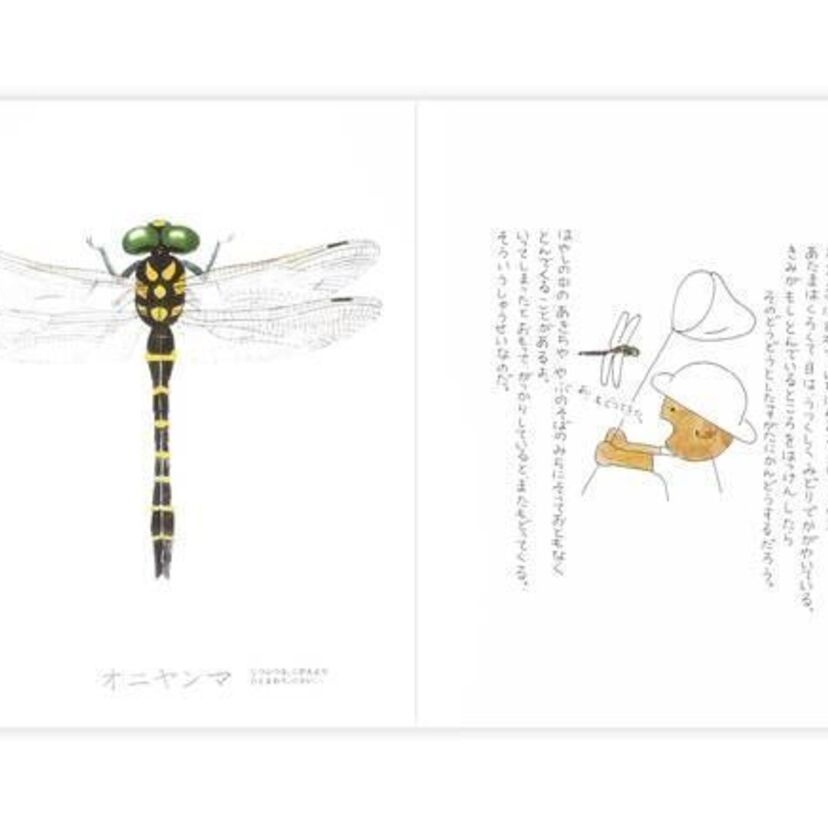 1989年の初版販売からロングセラー！柔らかなイラストと文章が懐かしい絵本『昆虫とあそぼう』がこの夏も販売！