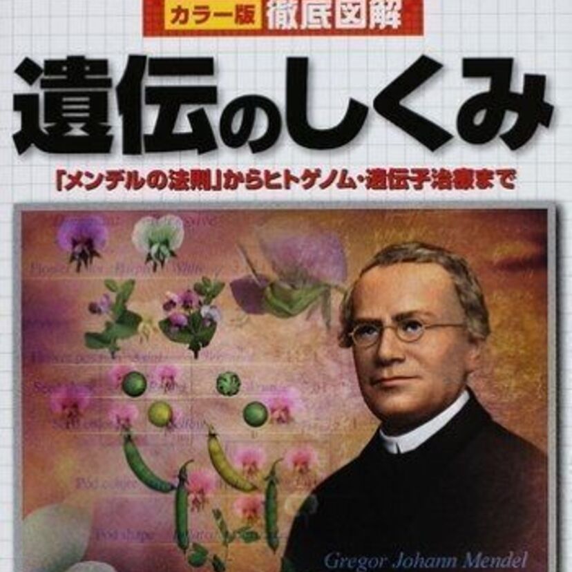 ミドルエッジ世代が理科の時間に習った「優性遺伝」「劣性遺伝」の名称が変わるってご存知ですか？