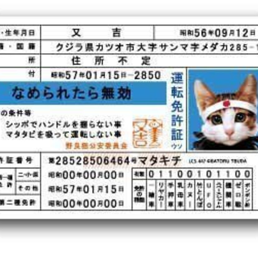 【団塊ジュニア世代に聞く】運転免許証、いつ返納しようと思いますか?
