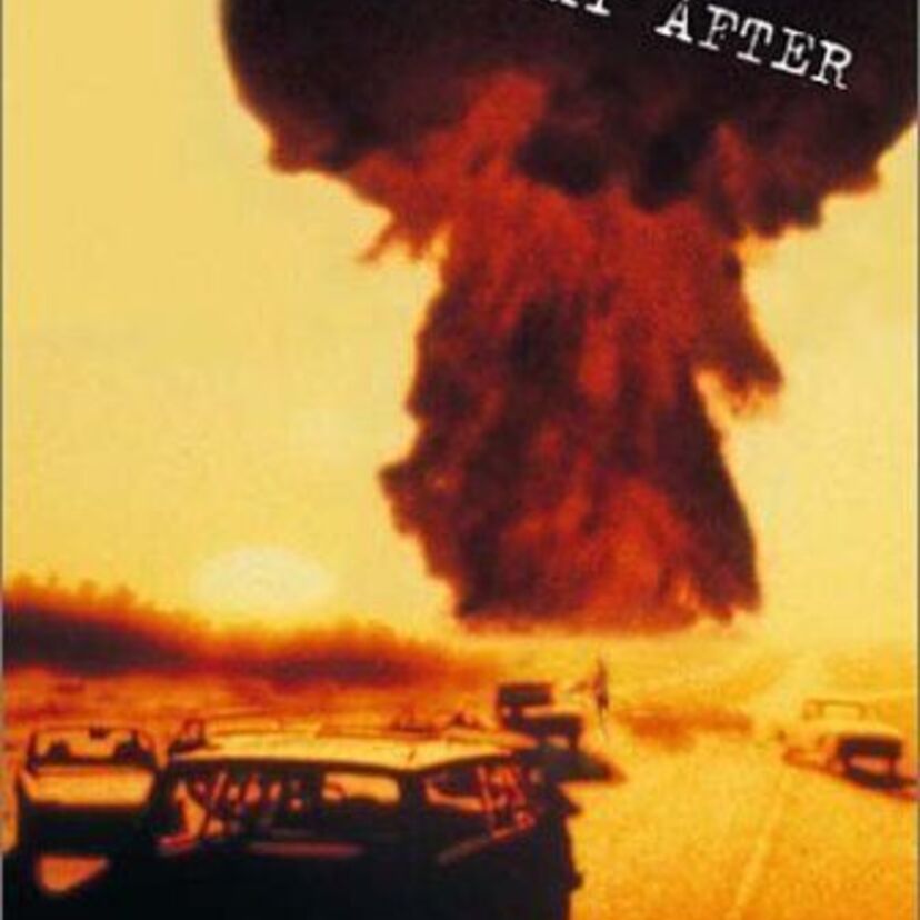 映画【ザ・デイ・アフター】について語ろう!米ソ対立を振り返るのに良い映画!