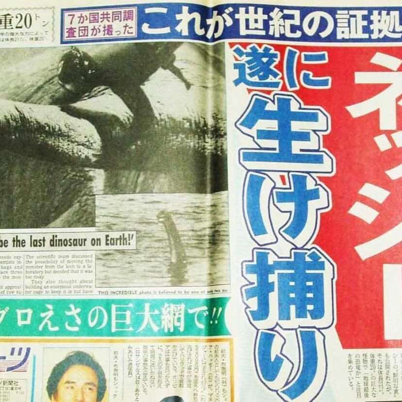 『飛ばしの東スポ』の異名を取る。東京スポーツ新聞。有り得ない見出しの数々！！