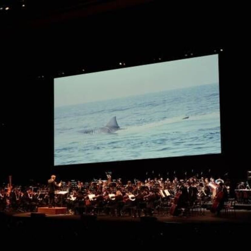 この夏、「ジョーズ」がコンサート会場にやってくる！映画全編生演奏付き上映 シネマオーケストラコンサート(シネオケ®)で臨場感たっぷりの恐怖を味わおう！