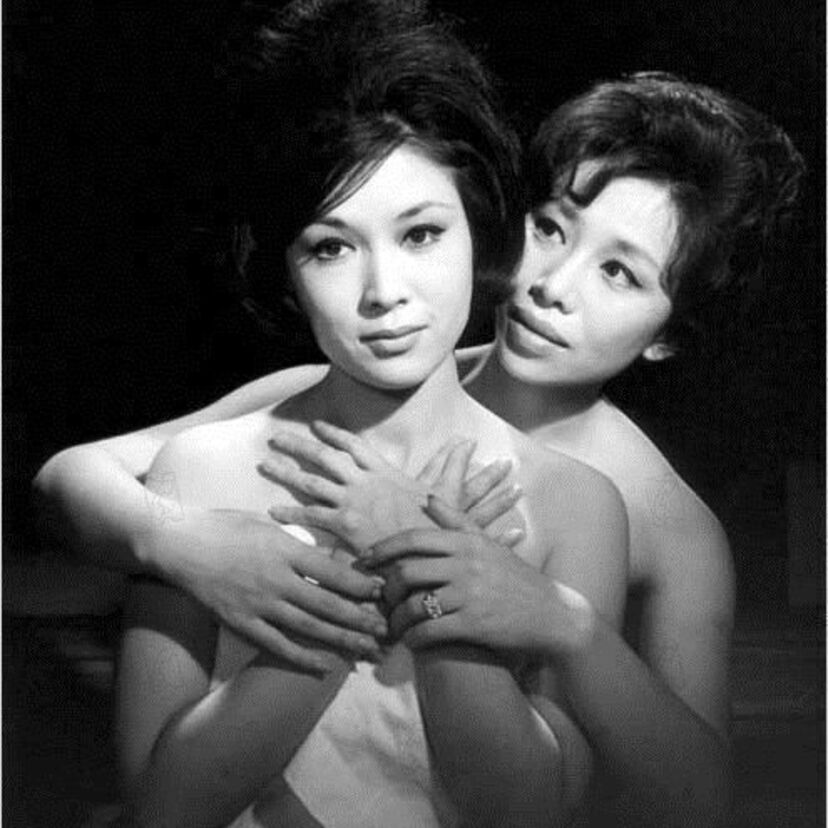 ［懐かしの銀幕スター］映画会社の看板女優を代表的人気作で振り返る　「大映：若尾文子」「東宝：司葉子」「松竹：岸恵子」「日活：吉永小百合」「東映：佐久間良子」