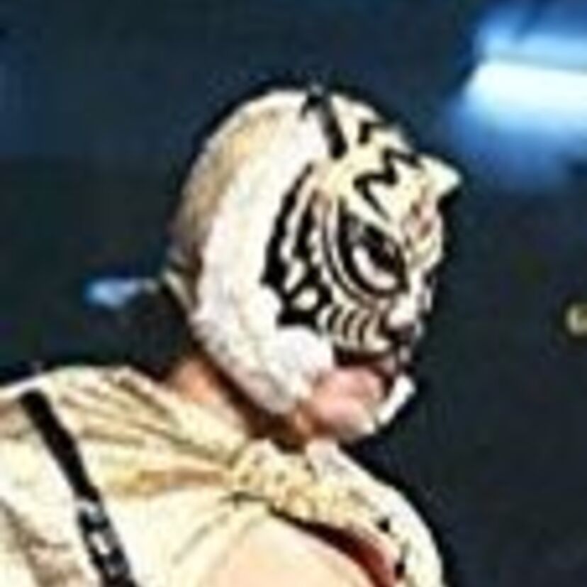 覆面レスラーのプロレス人生！マスクを脱いだその後にも注目してみました！