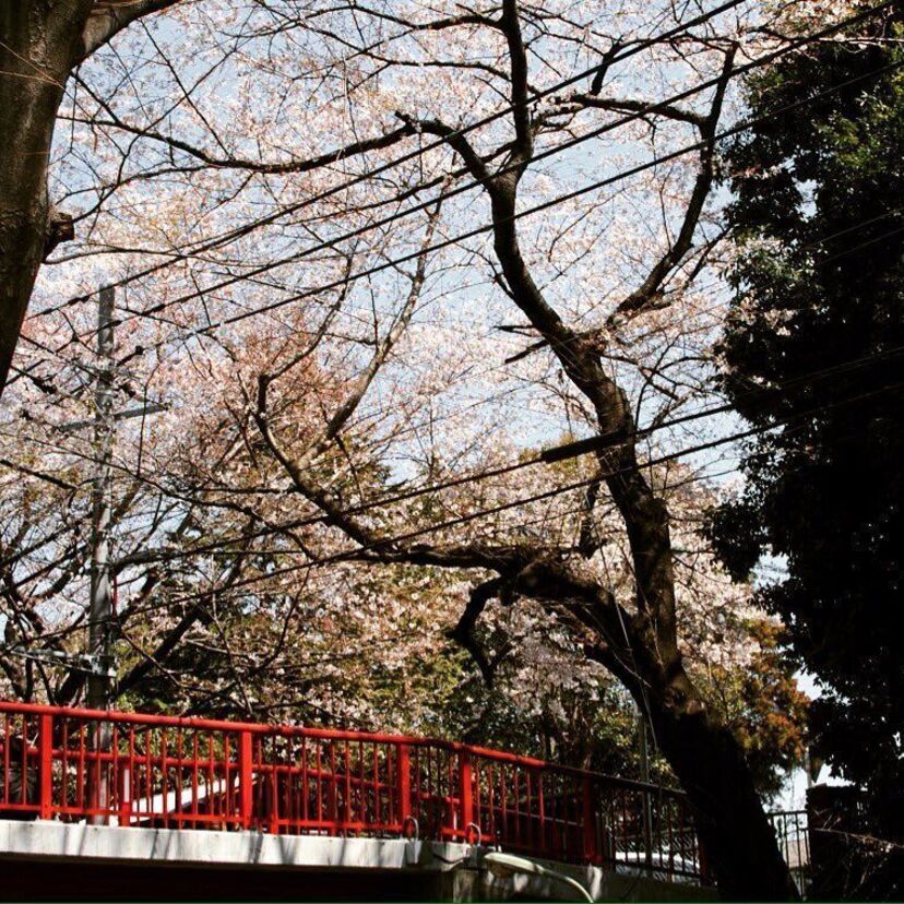 “胸キュン”が止まらない!「ウンナンのホントコ!」人気企画【未来日記】はやらせ?