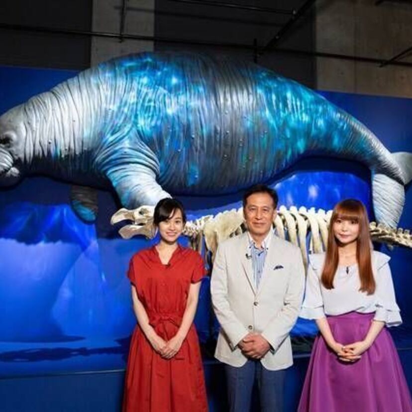 中京テレビ開局50年特番『潜入！絶滅動物研究所』放送！名古屋から絶滅をテーマに発信！！