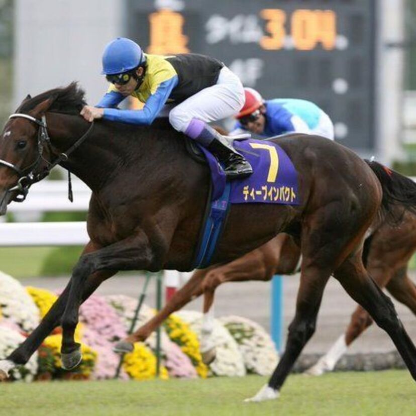三冠馬・ディープインパクト死去。オグリキャップらかつての名馬の引退後を振り返る。