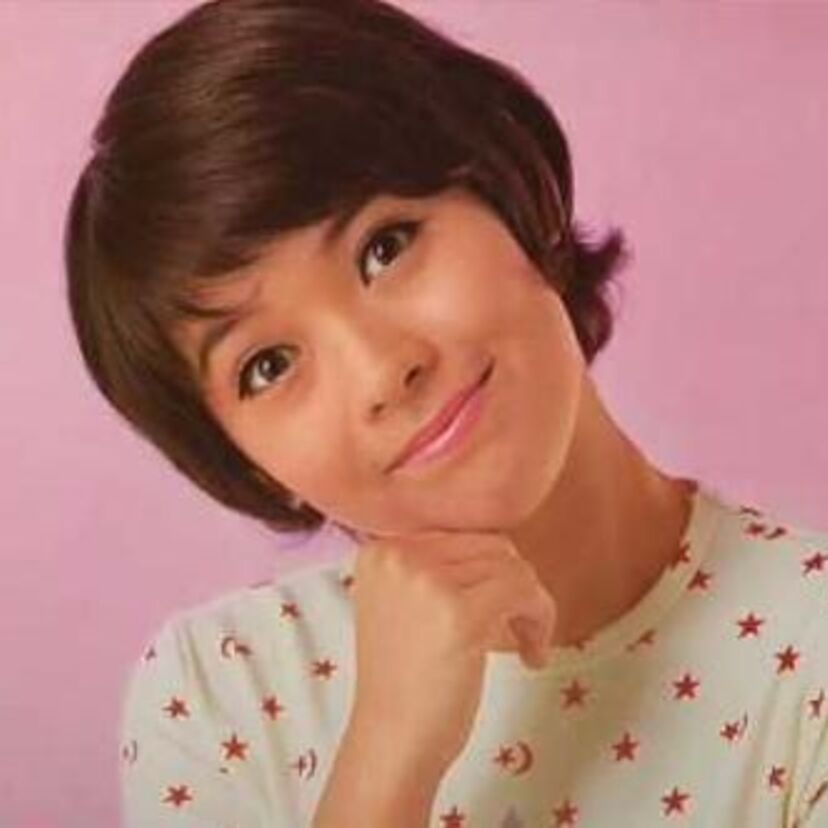 70年代に、大映テレビが制作した「岡崎友紀」主演のライトコメディシリーズ。